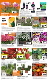 Wasser im OBI Prospekt in Fulda Aktueller OBI Prospekt mit Wasser, "BIBERSTARKE ANGEBOTE", Seite 2