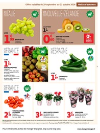 Offre Fleurs dans le catalogue Auchan Supermarché du moment à la page 3