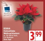 Weihnachtsstern im Angebot bei EDEKA in Falkensee Weihnachtsstern Angebote von EDEKA Heimatliebe bei EDEKA Falkensee für 3,99 €