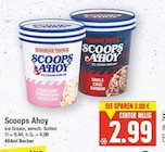 Scoops Ahoy im aktuellen E center Prospekt