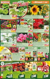Ähnliche Blumenerde Angebote im Prospekt "Mehr fürs Geld" von Norma in Bietigheim-Bissingen Ähnliche Angebote wie Blumenerde im Prospekt "Mehr fürs Geld" auf Seite 14 von Norma in Bietigheim-Bissingen