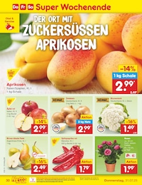 Netto Marken-Discount Rose im Prospekt Netto Marken-Discount Rose im Prospekt