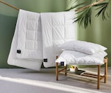 Sommerbett im XXXLutz Prospekt Sommerbett von billebeck im aktuellen XXXLutz Prospekt für 37,99 €