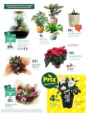 D'autres offres dans le catalogue "Fêtes sensations !" de Truffaut D'autres offres dans le catalogue "Fêtes sensations !" de Truffaut à la page 9