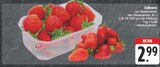 EDEKA Hemhofen - Erdbeeren Angebot im Prospekt Erdbeeren bei EDEKA im Hemhofen Prospekt für 2,99 €