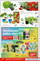 Humus im Hellweg Prospekt Wunderschne Blütenpracht auf S. 12