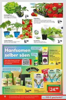 Gemüse im Hellweg Prospekt "Wunderschne Blütenpracht" mit 16 Seiten (Potsdam)