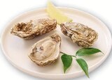 Assiette du littoral avec 3 huitres marennes oleron fines de claires IGP - Hyper U à Périgueux Assiette du littoral avec 3 huitres marennes oleron fines de claires IGP en promo chez Hyper U Périgueux à 8,49 €