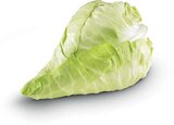 Spitzkohl im Angebot bei Netto Marken-Discount in Wolfsburg Spitzkohl Angebote von Heimat bei Netto Marken-Discount Wolfsburg für 0,99 €