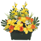 Jardinière de boutons de rose, orchidées et glaïeuls - Bazarland à Nancy Jardinière de boutons de rose, orchidées et glaïeuls en promo chez Bazarland Nancy à 24,99 €
