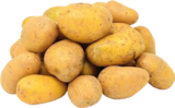 Frühkartoffeln im Angebot bei EDEKA in Stade Frühkartoffeln Angebote von Hof Mennerich bei EDEKA Stade für 1,11 €