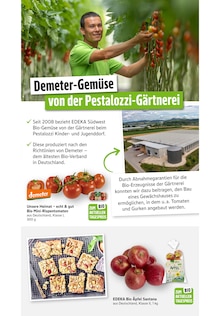 Äpfel im EDEKA Prospekt "Aktuelle Angebote" mit 77 Seiten (Reutlingen)