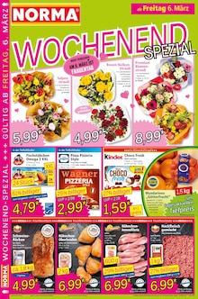 Pizza im Norma Prospekt "Mehr fürs Geld" mit 20 Seiten (Augsburg)