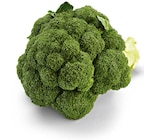 Broccoli bei Netto Marken-Discount im Prospekt "" für 0,99 €
