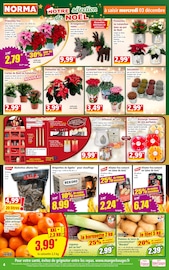 Catalogue Norma en cours à Creutzwald, "Votre Discounter Régional", Page 4
