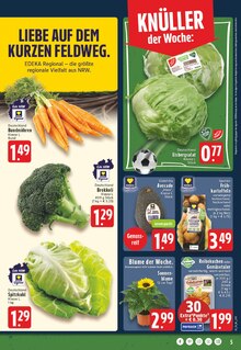 Blumen im EDEKA Prospekt "Aktuelle Angebote" mit 25 Seiten (Recklinghausen)