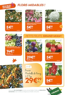 Catalogue Ma Jardinerie de la semaine 41, "VIVEZ TOUTES LES COULEURS DE L'AUTOMNE !", page 2, 06/10/2025 - 19/10/2025 Prospectus Ma Jardinerie en cours, "VIVEZ TOUTES LES COULEURS DE L'AUTOMNE !", page 2 sur 8