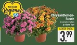 Chrysanthemen-Busch bei E center im Sankt Englmar Prospekt für 3,99 €