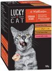 Aktuelle Katzenfutter Angebote bei Penny in Dresden Aktuelles Stückchen in exquisitem Gelee oder in Sauce Angebot bei Penny in Dresden ab 3,19 €