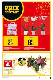 Offre Orchidée dans le catalogue Bricorama du moment à la page 3