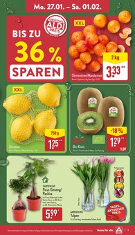 Aktueller ALDI Nord Prospekt "Aktuelle Angebote" mit 32 Seiten