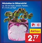 Glücksklee im Glitzerwürfel von  im aktuellen Netto Marken-Discount Prospekt für 2,77 €