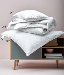 Möbel Kraft Teutschenthal - Kopfkissen oder Kassettendecke "Ariella" Kopfkissen oder Kassettendecke "Ariella" Angebot bei Möbel Kraft Teutschenthal im Prospekt Schöner Aufwachen. Mit traumhaften Bettwaren und Zubehör.