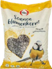 Sonnenblumenkerne Angebote von elles bei Globus-Baumarkt Rostock für 9,99 €