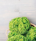 Promo Salade Batavia à 0,99 € dans le catalogue U Express à Orléans