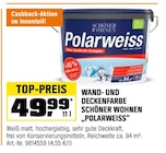 WAND- UND DECKENFARBE "POLARWEISS" im aktuellen Prospekt bei OBI in Trollenhagen