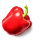 Aktuelle Paprika Angebote bei Kaufland in Bonn Aktuelles Bio-Paprika Angebot bei Kaufland in Bonn ab 2,49 €