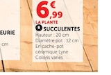 Succulentes en promo chez Super U Saint-Nazaire à 6,99 €