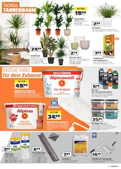 Aktueller OBI Prospekt mit Tierfutter, "BIBERSTARKE ANGEBOTE", Seite 3