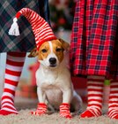 Kuschelsocken Weihnachten für 3,99 € bei budni im Angebot Kuschelsocken Weihnachten im aktuellen budni Prospekt