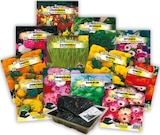 Mini-Treibhaus Angebote bei Netto mit dem Scottie Rostock für 1,99 €