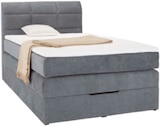 BOXSPRINGBETT „RUNNER“ Angebote bei mömax Flensburg für 499,00 €