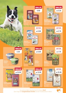 ZooRoyal Prospekt der KW 28 "SONNIGE DEALS FÜR JEDEN TAG!" Aktueller ZooRoyal Prospekt "SONNIGE DEALS FÜR JEDEN TAG!" Seite 2 von 8 Seiten