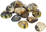 Teppichmuschel Vongole Veraci im Angebot bei METRO in Bielefeld Teppichmuschel Vongole Veraci Angebote von PRO TRACE bei METRO Bielefeld für 19,68 €