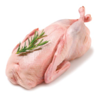 Aktuelles Frische junge Ente Angebot bei Netto mit dem Scottie in Dresden ab 5,99 €