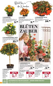 Pflanztopf im Dehner Garten-Center Prospekt "Jetzt wird's Dehner!" mit 16 Seiten (München)