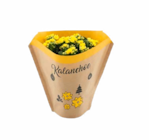 Kalanchoe im ALDI Nord Prospekt Kalanchoe von Gardenline im aktuellen ALDI Nord Prospekt für 1,49 €