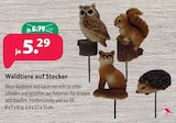 Waldtiere auf Stecker im Angebot bei Kiebitzmarkt in Buchholz Waldtiere auf Stecker Angebote bei Kiebitzmarkt Buchholz für 5,29 €