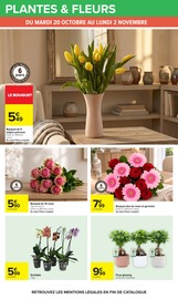 Promos Orchidée dans le catalogue "HAHA HALLOWEEN" de Carrefour Orchidée en promo dans le catalogue Carrefour à la page 64