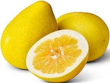 Penny - Honigpomelo Angebot im Prospekt Honigpomelo bei Penny im Prospekt "" für 1,99 €