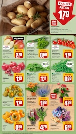 Aktueller REWE Prospekt mit Tomaten, "Dein Markt", Seite 5