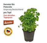 GLOBUS Koblenz - Bio Petersilie Angebot im Prospekt Bio Petersilie bei GLOBUS im Koblenz Prospekt für