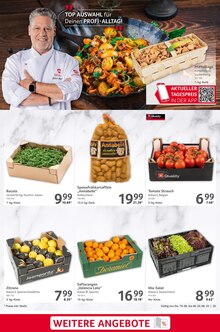 Lamm Angebot im Selgros Prospekt, gültig von 19.06.2025 bis 25.06.2025 Lamm Angebot im aktuellen Selgros Prospekt auf Seite 25