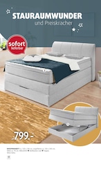 Bett im Polstermöbel Fischer Prospekt "BOXSPRING SPEZIAL" auf Seite 13