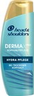 Aktuelles Shampoo Derma x Pro Hydra Pflege Angebot bei dm-drogerie markt in Frankfurt (Main) ab 5,45 €