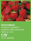Garten-Erdbeere im aktuellen OBI Prospekt